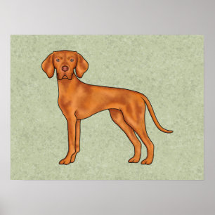 Ungarischer Vizsla Niedlich Pointer Dog Zeichne Gr Poster
