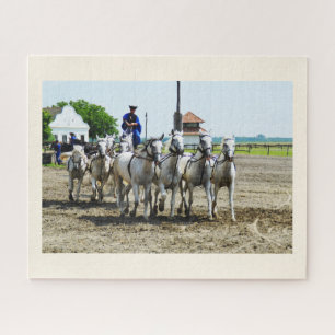 Ungarisches Pferd Puzzle