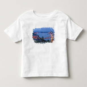 UNGARN, Budapest: Szechenyi-Brücke (Kettenbrücke), Kleinkind T-shirt