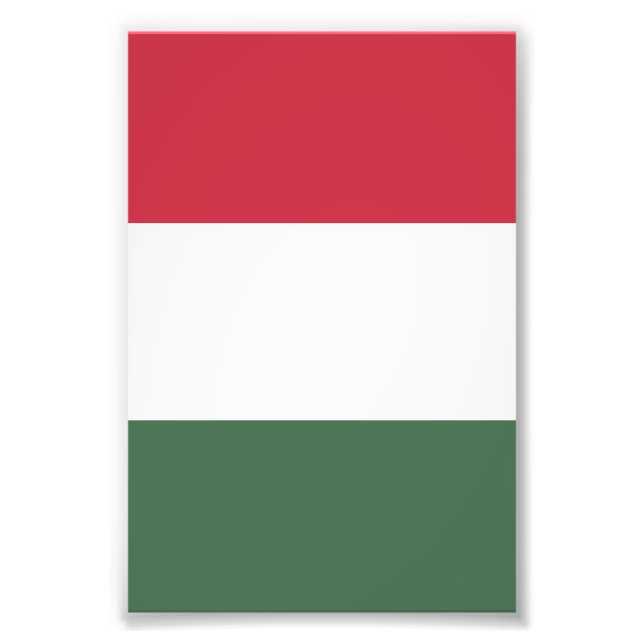 Ungarn-Flagge Fotodruck (Vorne)