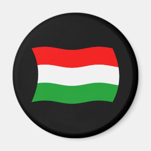 Ungarn Flagge Magnet