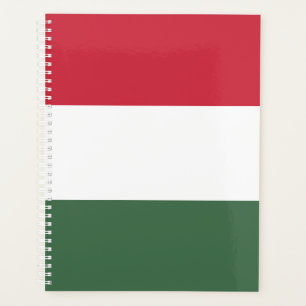 Ungarnflagge Planer