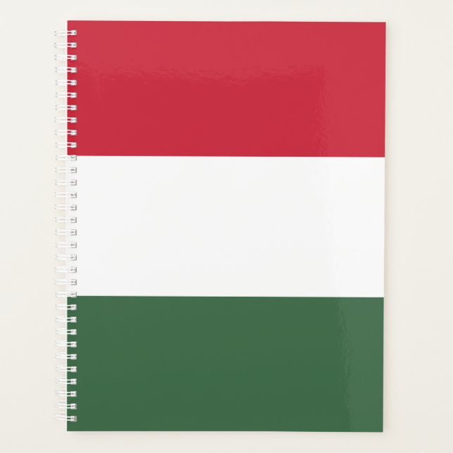 Ungarnflagge Planer (Vorderseite)