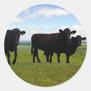 Ungeduld Runder Aufkleber