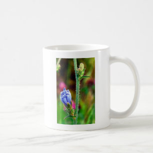 Ungeöffnete Chicorée Kaffeetasse