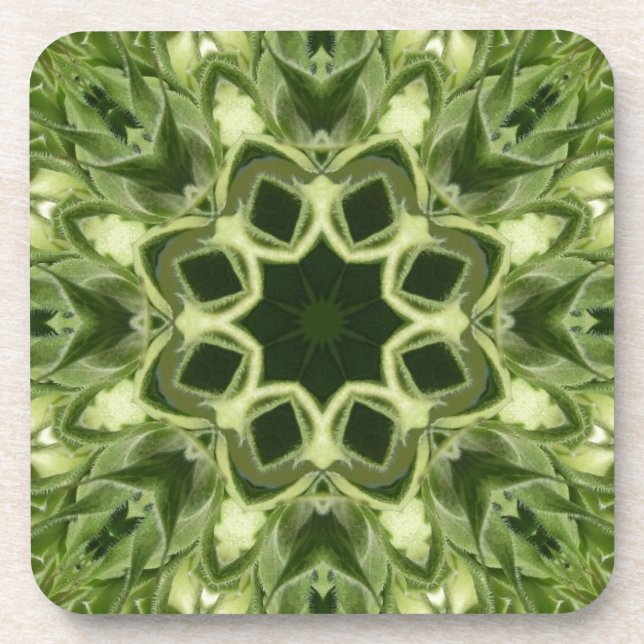 Ungeöffnete Sonnenblume Untersetzer (Vorderseite)