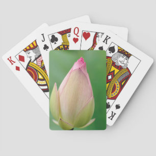 Ungeöffnete Wasserlily Bulb, botanisch-durban Spielkarten