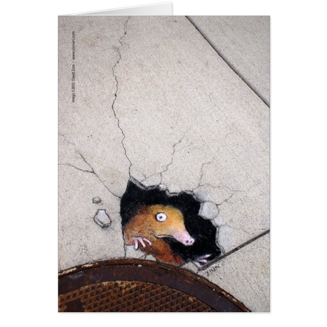 ungeschickte Mole (Vorne)