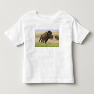 Ungestümer junger Bisonbulle im Tallgrass Kleinkind T-shirt