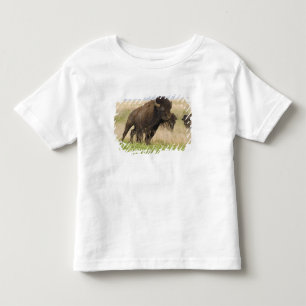 Ungestümer junger Bisonbulle im Tallgrass Kleinkind T-shirt