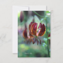 Ungewöhnliche Tiger Lily Mitteilungskarte