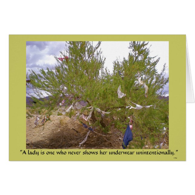 Ungewollte Unterwäsche (Vorderseite (Horizontal))