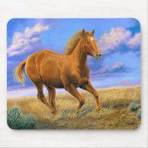 „Ungezügelte Freiheit“ Quarter Horse im Galopp