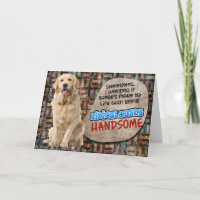 Unglaublich witzig Gedanken von Ihrem Labrador Geb