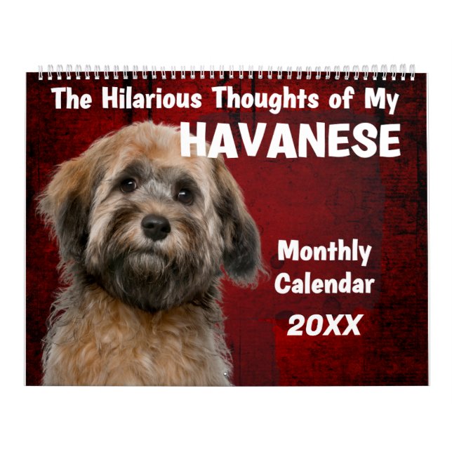 Unglaublich witzig Gedanken zu meinem Havaneskalen Kalender (Titelbild)