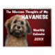 Unglaublich witzig Gedanken zu meinem Havaneskalen Kalender (Titelbild)