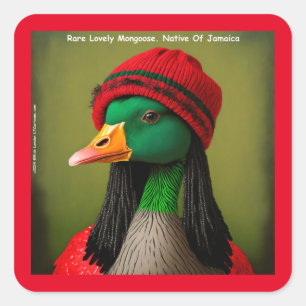 Unglaublich witzig jamaikanische Mongoose Kanadisc Quadratischer Aufkleber
