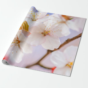 Unglaubliche Schönheit der Blume von Sakura Geschenkpapier