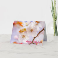 Unglaubliche Schönheit der Sakura-Blume im Frühjah
