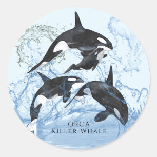 Unglaubliche Schwarz-Weiß-Wasserfarben-Orcas Runder Aufkleber
