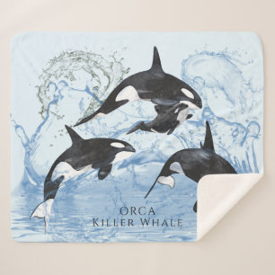 Unglaubliche Schwarz-Weiß-Wasserfarben-Orcas Sherpadecke
