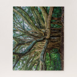 Unglaublicher Banyan Tree Puzzle