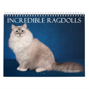 Unglaublicher Ragdolls Wandkalender