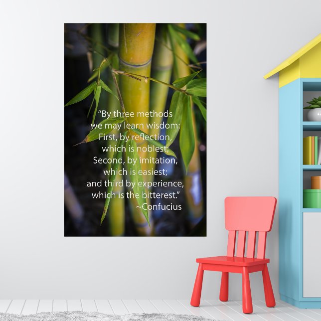 schumacher cactus yellow Chamaecereus lutea grafted Large – Planet Desert main image 1