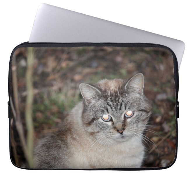 unheimlich laptopschutzhülle (Vorderseite)