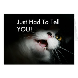 Unhöfliche Katzen-Gewohnheit und Redewendungen