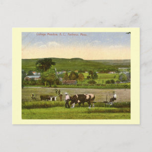 Uni Meadow, Amherst Massachusetts 1912 Vintag Postkarte