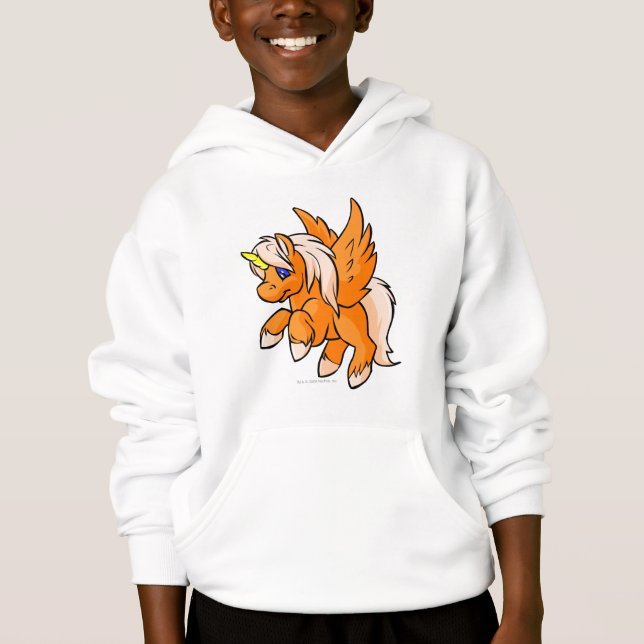Uni Orange Hoodie (Vorderseite)
