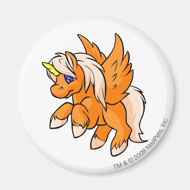 Uni Orange Magnet (Vorne)