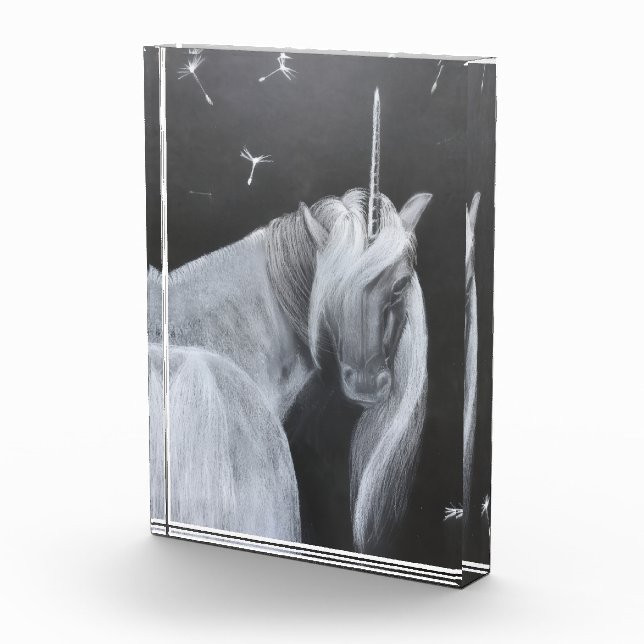 Unicorn & Dandelion photo block (Rechts)