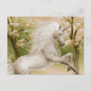 Unicorn Magical Beauty Postkarte