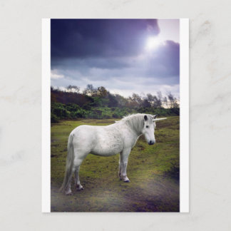 UNICORN POSTKARTE