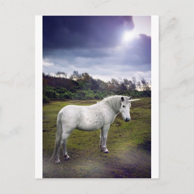 UNICORN POSTKARTE (Vorderseite)
