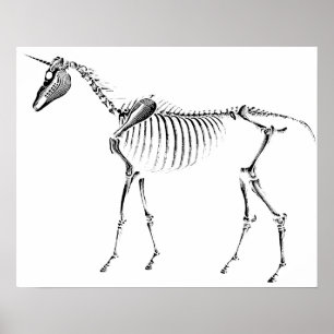 Unicorn Skeleton Poster