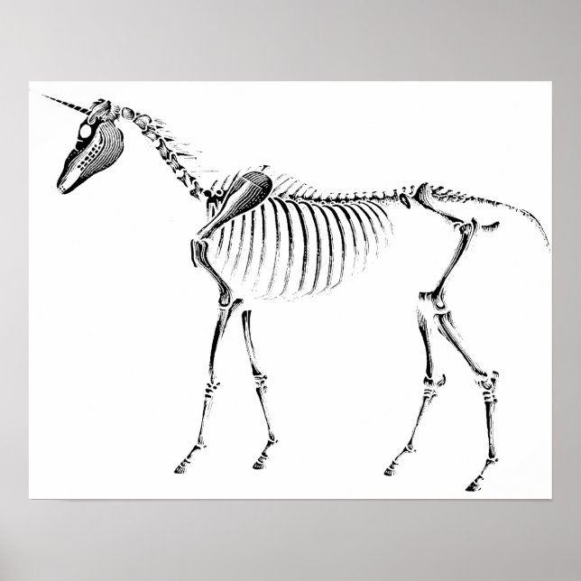 Unicorn Skeleton Poster (Vorne)