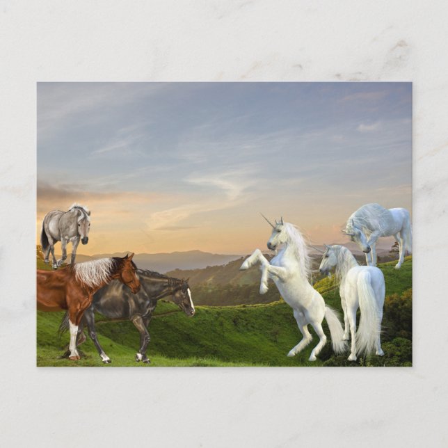 Unicorns Meet Horses Fanasy land Postkarte (Vorderseite)