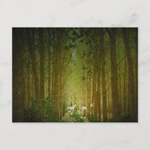 Unicorns Postkarte