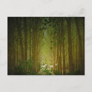 Unicorns Postkarte