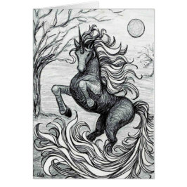 Unicornsschwarzer Unicorn-schwarzes u. weißes