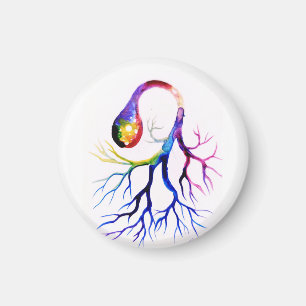 Unipolare Nervenzelle Magnet