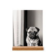 Unique Black and White Pug Dog Portrait