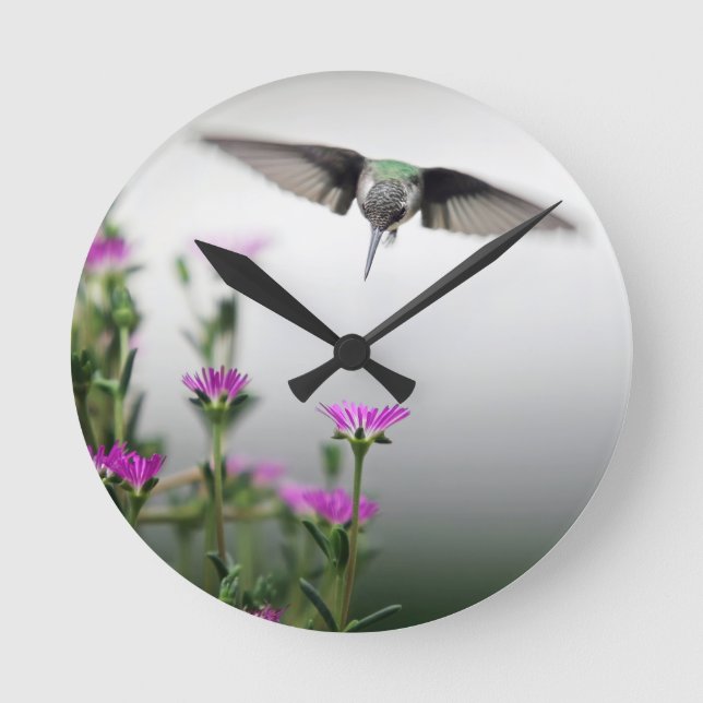 Unique Hummingbird Runde Wanduhr (Vorderseite)