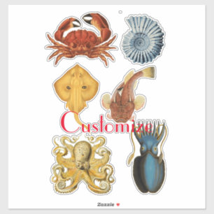 Unique Sea Beings Assortiment Thunder_Cove Aufkleber