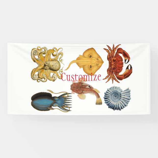 Unique Sea Beings Assortiment Thunder_Cove Banner (Horizontal)