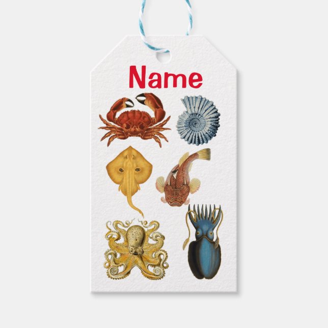 Unique Sea Beings Assortiment Thunder_Cove Geschenkanhänger (Vorderseite)