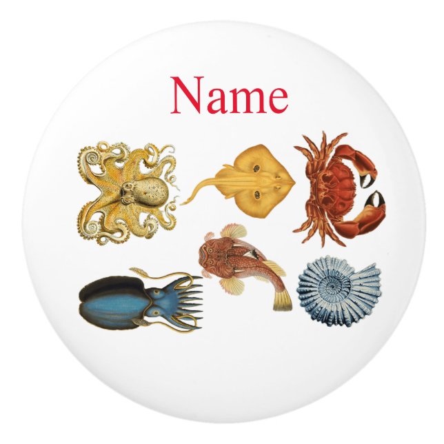 Unique Sea Beings Assortiment Thunder_Cove Keramikknauf (Vorderseite)